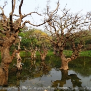 Bangladesh Natinal Zoo_31